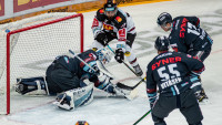 hokej sparta 37 BEN 7206